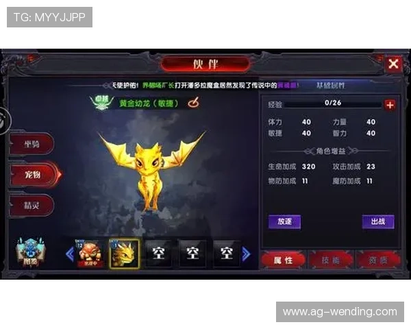 问鼎娱乐正规网址优惠活动不断丰富玩家福利提升游戏体验